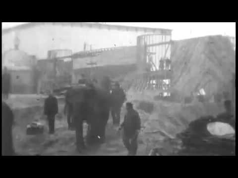 ტოპსი - სპილო, რომელიც სიკვდილით დასაჯეს