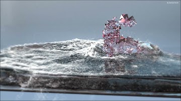 Fluid Simulation by Jannis Kreft / Cinema4d, XParticles, Redshift Renderer