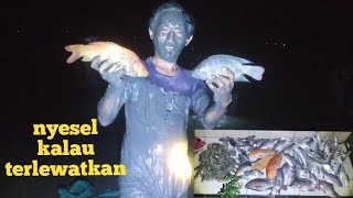 Download Lagu Nyesel kalau sampai terlewatkan mencari ikan di sini yang punya tambak baik banyak banget ikan nya MP3 Download Lagu Nyesel kalau sampai terlewatkan mencari ikan di sini yang punya tambak baik banyak banget ikan nya MP3
