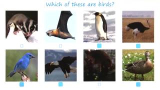 Exercise: Concept Learning Revisited Quiz Solution - Georgia Tech - KBAI: Part 2 Profile