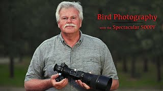 What is a Great Bird Photography Rig?