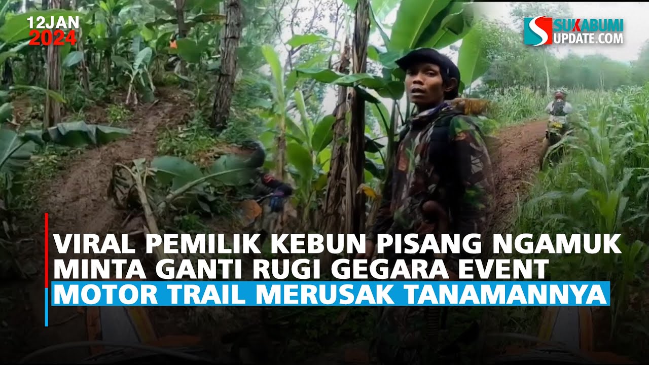 Viral Pemilik Kebun Pisang Ngamuk Minta Ganti Rugi Gegara Pemotor Trail Merusak Tanamannya