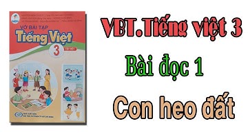 Vở bài tập tiếng việt lớp 3 sách cánh diều | Bài 3 Niềm vui của em | Bài đọc 1 Con heo đất Trang 21