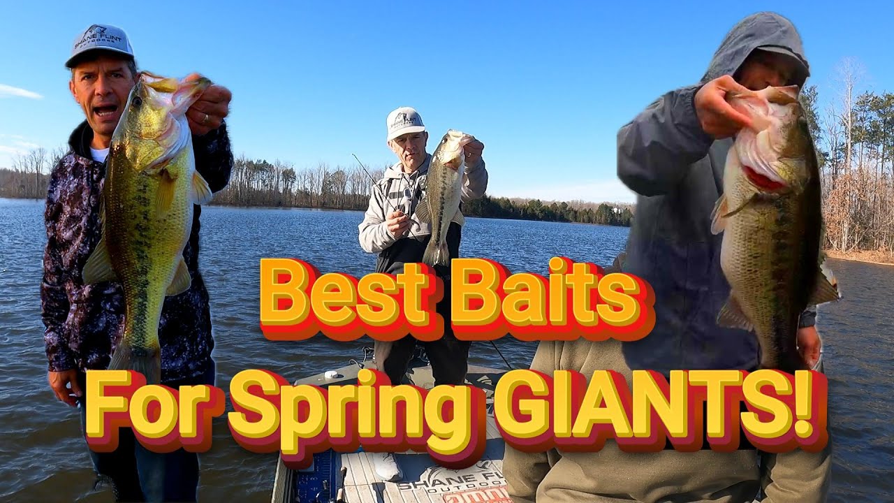 Giant Spring Bass Baits You Need to Try!