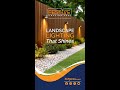 Transform your nights with landscape lighting that truly shines! #shorts