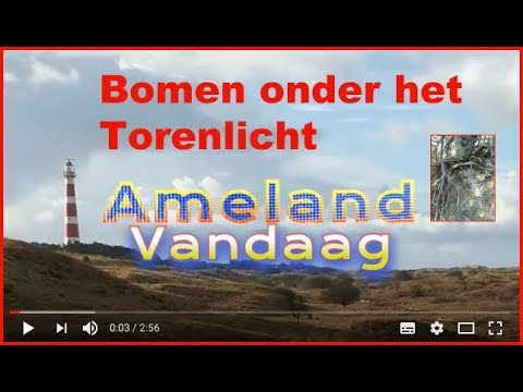 Ameland Vandaag - 12 april 2018 - Bomen onder het Torenlicht