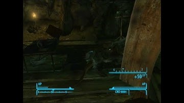 Fallout NV: How to get Ratslayer - Unique Weapon [ThatTaylorGuy1227]