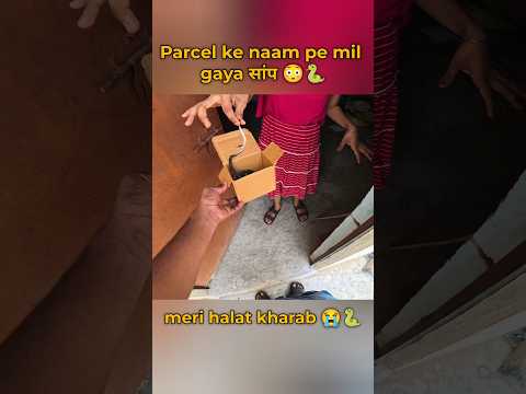 Parcel ke naam pe mil gya snak🐍 #shorts #viralshort #trending #viral #parcel #porter #vlog #minivlog