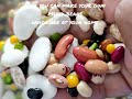 Yummy & Easy to Make 16 Bean Protein Soup #easyrecipe #food #cooking #recipe #beans #soup #healthy