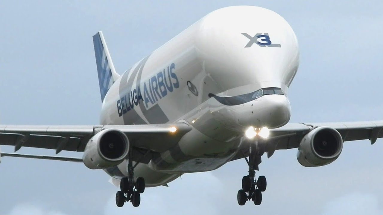 Airbus Beluga XL2 and XL3 Land at Chester Hawarden Airport!