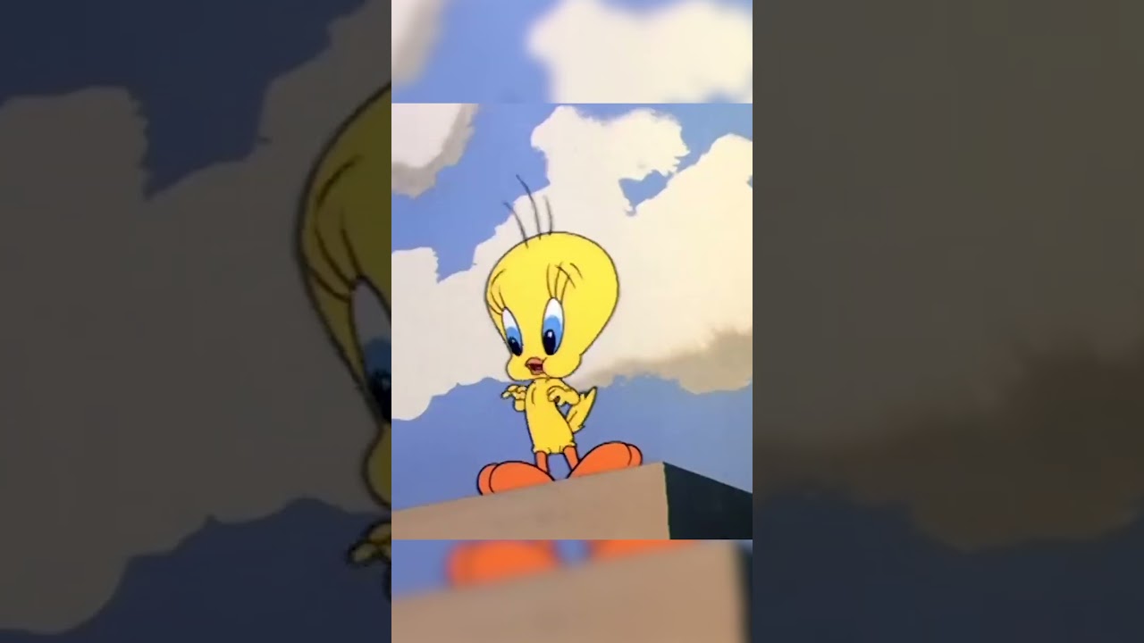 Keep Rowing Puddy Tat! | Looney Tunes | 