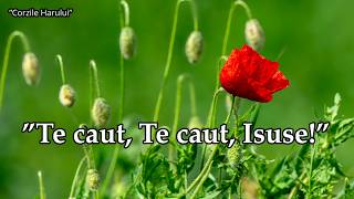 ”Te caut, Te caut, lsuse!” cântare creștină 2026