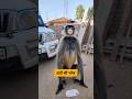 दादी की भोज 🤣#funny #thetharpuns #shilpisaroja #comedy #shorts #funny #trending #shorts