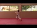 Nijushiho - Karate Training Sonia Fiuza