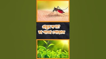 general knowledge || quiz | spinal cord part-215