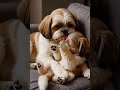 cute  🐾🔥 #animals #cuteanimals