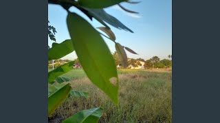 Tetap Bersama Melangkah