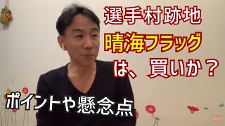 【東京五輪】選手村跡地のマンション「晴海フラッグ」（HARUMI FLAG）は買いか？ 政治・経済・不動産投資・マンション売買ティップス