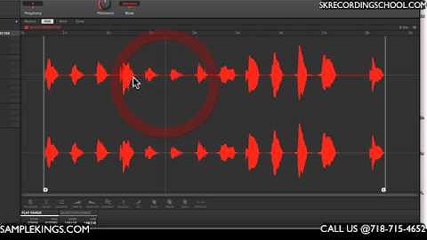 Maschine Studio DVDs:Saving Samples & Editing