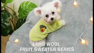 Soft Fruit Pattern Warm Pet Clothes screenshot 4