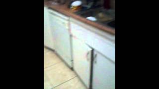 Introduction to fida's fresh kitchen