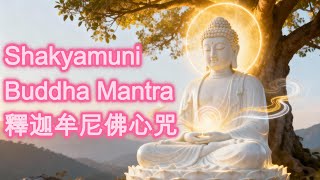 Shakyamuni Buddha Mantra  Lofi Meditation   calm  Inner Peace