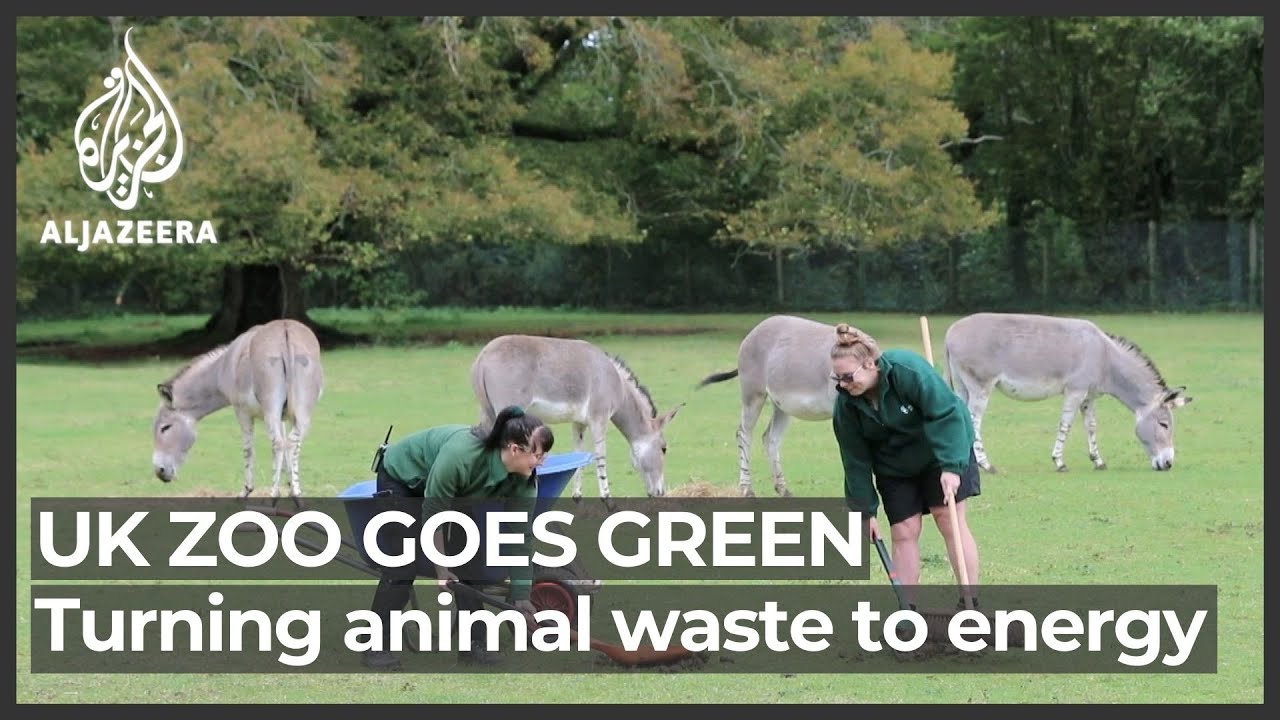 UK zoo generates renewable energy using animal waste
