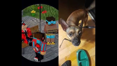 Защитите его любой ценой в Майнкрафте#shorts#майнкрафт#minecraft