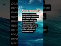#факт #хочуфакты #фактыкаждыйдень #авызналиэто #авызнали