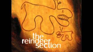 Video thumbnail of "The Reindeer Section - Strike Me Down"
