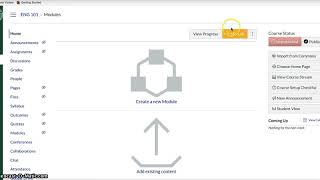 Creating Canvas Modules Net Worth