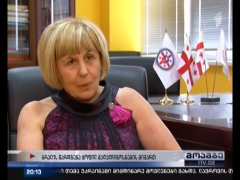 გიული ალასანიას კომენტარი მისი შვილისთვისთვის ბრალდების წაყენებასთან დაკავშირებით