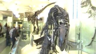 SDV_0026.MP4