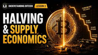 Bitcoin Halving Explained: The Math Behind Supply Scarcity