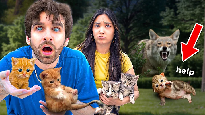 I TRIED to RESCUE 5 Abandoned Kittens From a COYOTE ATTACK... (sad)