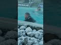 Jordan Osborne Takes on the Pool Loading Race | Magnus Classic 2025