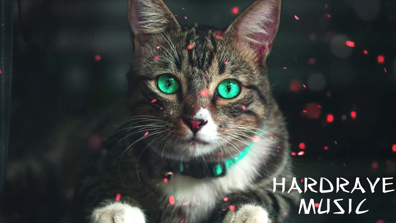 1 Hour Head banger Dubstep Mix [Brostep,Riddim]