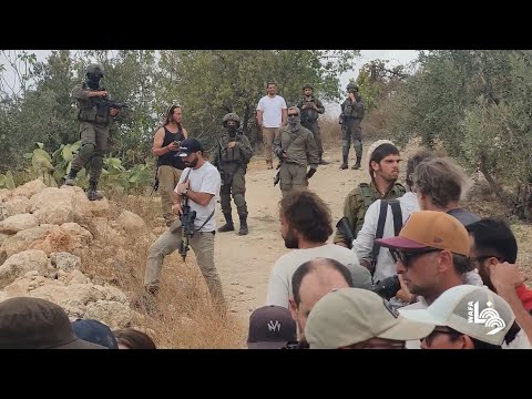 مستوطنون بحماية الاحتلال الإسرائيلي يهاجمون مزارعين ومتطوعين أثناء قطف الزيتون في سوبا غرب الخليل