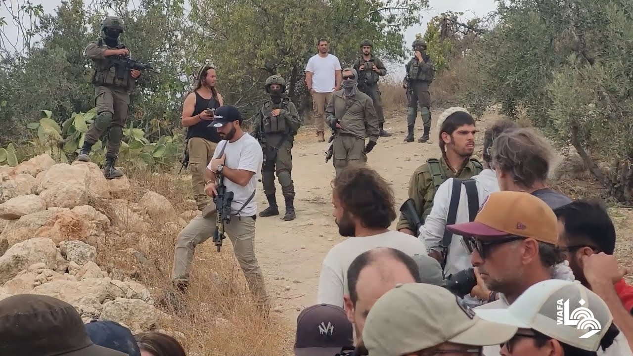 مستوطنون بحماية الاحتلال الإسرائيلي يهاجمون مزارعين ومتطوعين أثناء قطف الزيتون في سوبا غرب الخليل