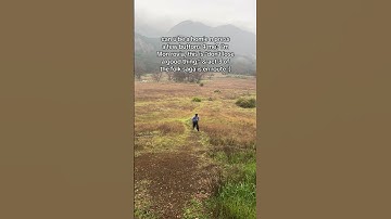 Thumbnail of Don’t lose a good thing (out now) #folkmusic #newmusic
