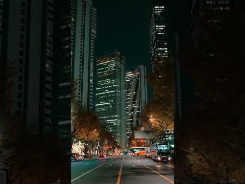 Skyscrapers in Nishi-shinjuku, Tokyo【12/20/2024】