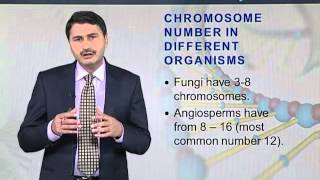 BIO301_Topic027
