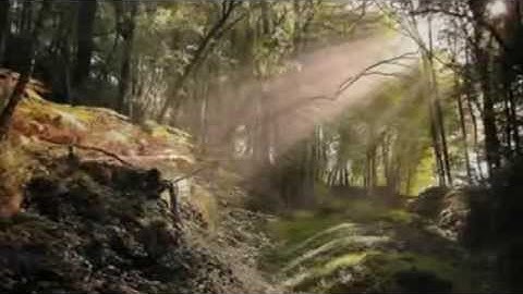 Libera Boys Choir - Lux Aeterna (In Paradisum)