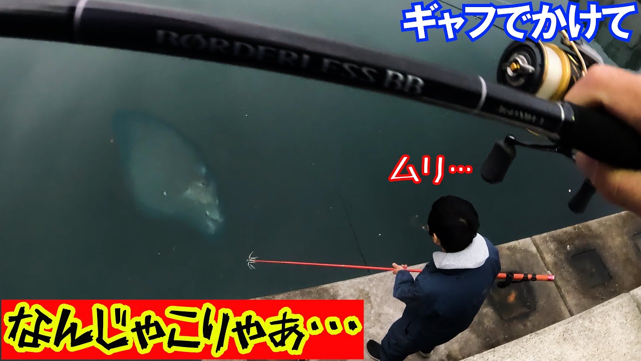 アジバケツ ジェットエアー アジスカリ アジ泳がせ イカ泳がせ アジバケツ ジェットエアー アジスカリ アジ泳がせ イカ泳がせ