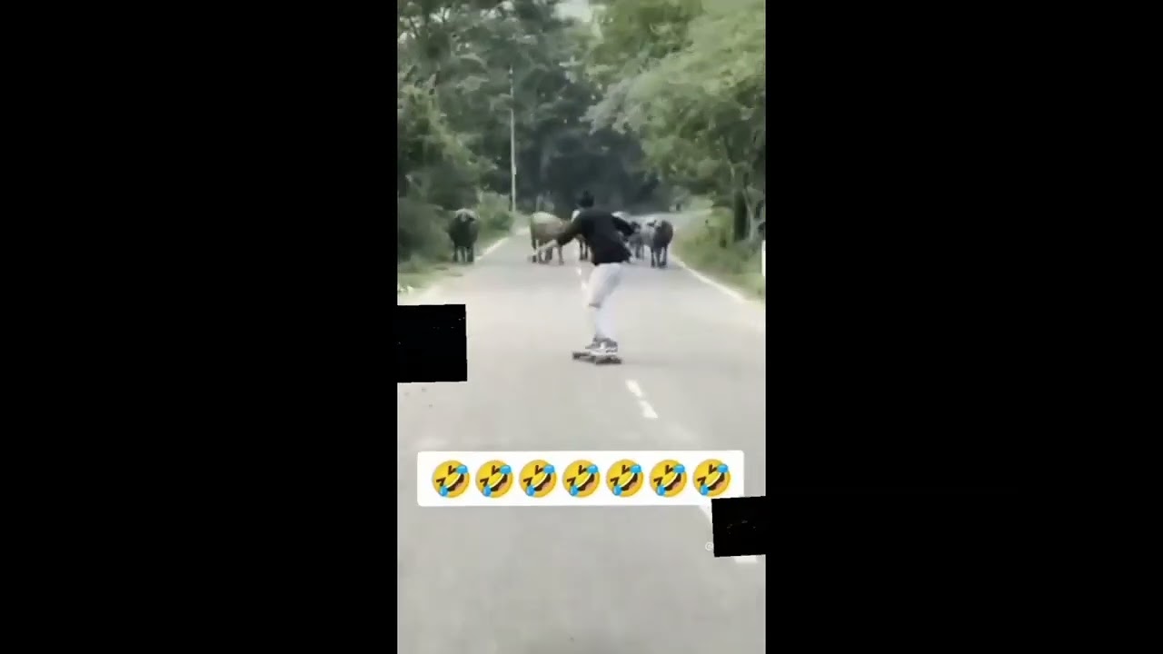 funny video shot 🤣 you #@ sky ting