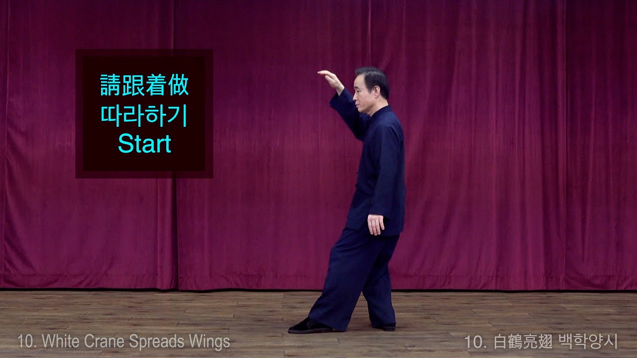 【楊式鄭子太極拳37式】請跟着做(背面)【Cheng Man-Ching Taichi 37 form】 Following(Back Position) 【양식정자태극권】 따라하기(배면)