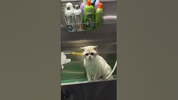 Give this video a title wrong answers only part 5