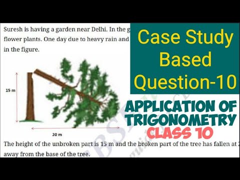 case study questions based on applications of trigonometry