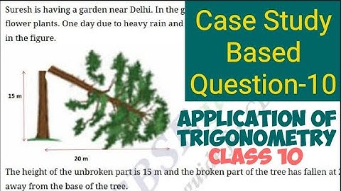 Case study based questions class 10 | case study on Some Application of Trigonometry | cbse class 10