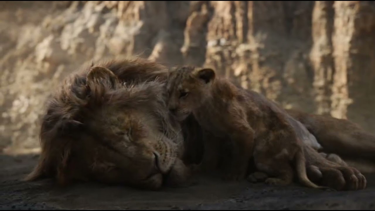  The Lion King-stromae papaoutai remix 